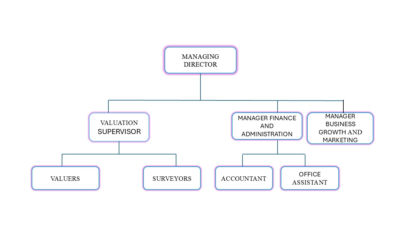 Company Organizational Structure Blueprint